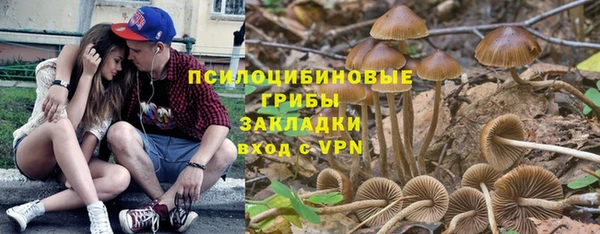 МДПВ Зеленодольск