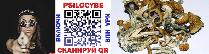Галлюциногенные грибы Magic Shrooms  Купить закладки  Минусинск 